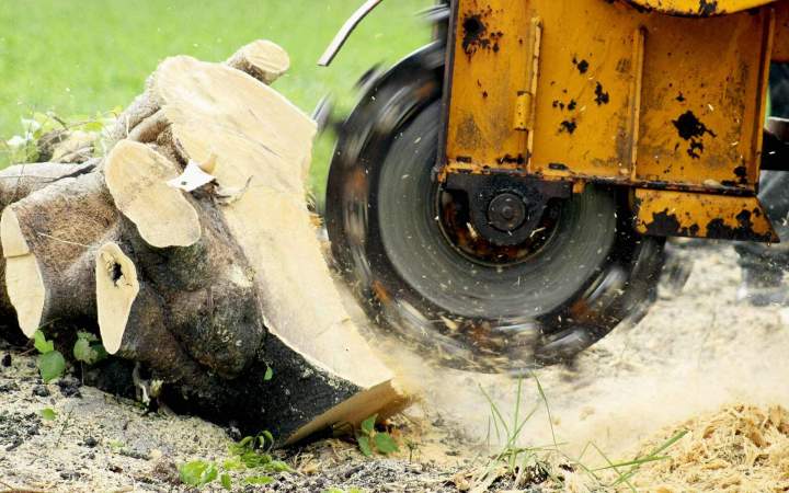 Professional Land Clearing in Stirling