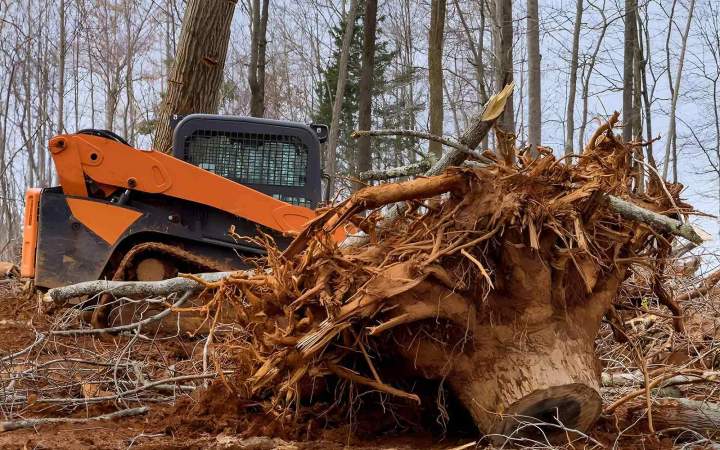 Land Clearing Service Sterling