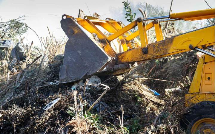 Brush Clearing Sterling